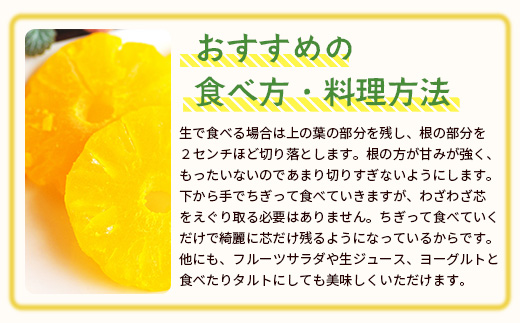 【予約受付】石垣島産　有機パイナップル・ボゴール種 3玉（約2.8kg前後）〈常温〉《６月上旬～順次発送予定》｜パイナップル パインアップル 石垣島パイン フルーツ 果物 くだもの 南国フルーツ 国産パイン　E-41