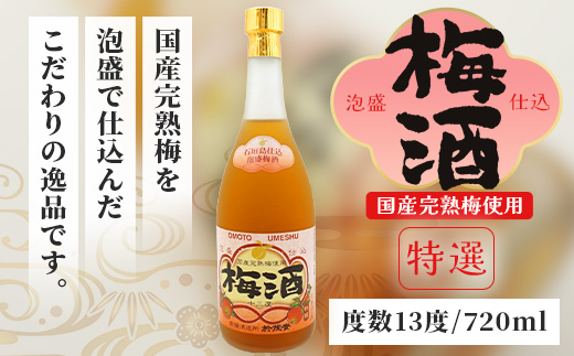 手造り於茂登の“琉球もろみ酢”＆おもと梅酒セット【 沖縄 石垣島 泡盛 もろみ 梅 酢 】TS-4