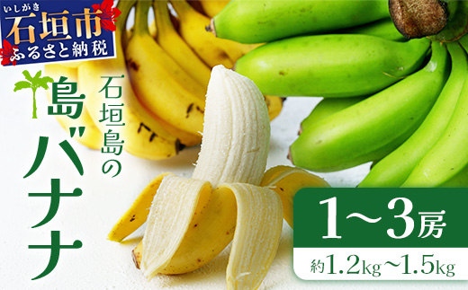 ＜先行予約＞石垣島の島バナナ、1～3房（約1,2～1,5kg前後入り）《4月中旬～順次発送》爽やか酸味のスッキリ系バナナ、少し冷やしてもイイんです！　SI-33