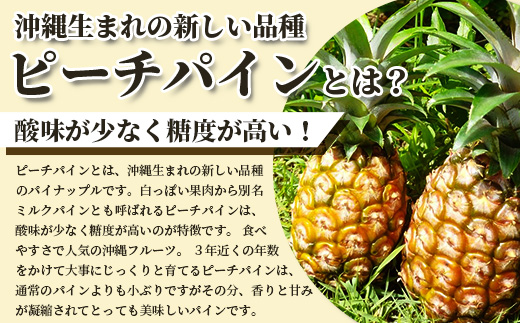 《2025年4月～7月順次発送》【先行受付】希少！濃厚！「枝先完熟・てのひらピーチパイン」【産地直送 沖縄県 石垣島 農家直送 パイン フルーツ 離島のいいもの 沖縄いいもの石垣島 】OI-2