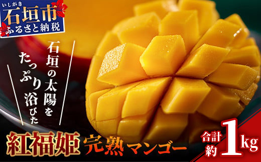 【2026年発送 予約受付分】「紅福姫ブランド」石垣島のマンゴー 約1kg 【沖縄県 石垣市 産地直送 旬 石垣島産 マンゴー 完熟マンゴー アーウィン種マンゴー】OT-04