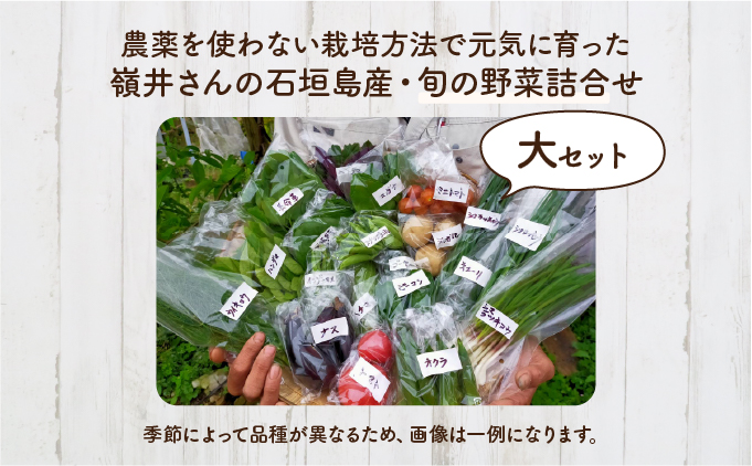 蠍コ莠輔&繧薙ョ遏ウ蝙」蟲カ譌ャ縺ョ驥手除隧ー蜷医○シ亥、ァ繧サ繝繝茨シ碓I-23