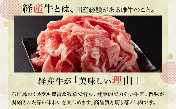 ＜わんの牛＞石垣島産経産黒毛和牛 切り落とし 250g×4袋 合計1kg NA-02