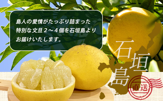 ææŠïŒïŒãïŒåïŒèŸ²è¬ã䜿ãããæ£®ã®ãããªçã§æ œå¹ããç¹å¥ãªæç© ïŒ10æã3æé 次çºéïŒã æ²çž ç³å£å³¶ ç³å£å³¶ç£ ãã«ãŒã æç© 蟲è¬äžäœ¿çš é¢å³¶ã®ãããã® æ²çžãããã®ç³å£å³¶ ãOI-19-2