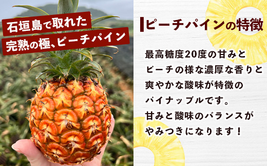 【マツコの知らない世界で絶賛！】《2025年4月以降発送》【先行予約】島のおいしいを贅沢に！大満足のパイナップル4種とマンゴー2種、シークワーサーの定期便【 沖縄 石垣 ピーチ ホワイトココ キーツ マンゴー パイン パイナップル シークワーサー 完熟 セット フルーツ デザート 食べ比べ 定期便 TV テレビ 紹介 マツコ 】 TF-40