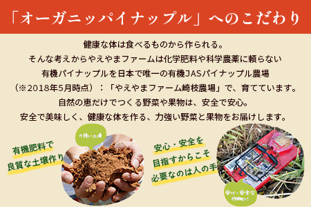 ãäºçŽåä»ãç³å£å³¶ç£ãææ©ãã€ãããã«ã»ããŽãŒã«çš® 3çïŒçŽ2.8kgååŸïŒãåžžæž©ããïŒæäžæ¬ïœé 次çºéäºå®ãïœãã€ãããã« ãã€ã³ã¢ããã« ç³å£å³¶ãã€ã³ ãã«ãŒã æç© ãã ãã® ååœãã«ãŒã åœç£ãã€ã³ãE-41