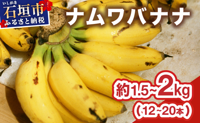 ≪2026年4～10月順次発送≫ 石垣島産 希少な国産『ナムワバナナ』を贅沢に1房丸ごと約1.5-2kg（12-20本）| 沖縄 石垣 バナナ フルーツ 果物 南国フルーツ 国産