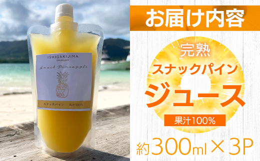 《2025年4月以降順次発送》完熟スナックパイン果汁100％！！の濃厚ジュース300ml×3パックをお届け！【 沖縄県 石垣 完熟 パイン パイナップル スナック 果汁 100％ 】TF-43