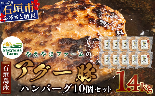 石垣島産 やえやまファームのアグ―豚（南ぬ豚）ハンバーグ10個セット E-8-1