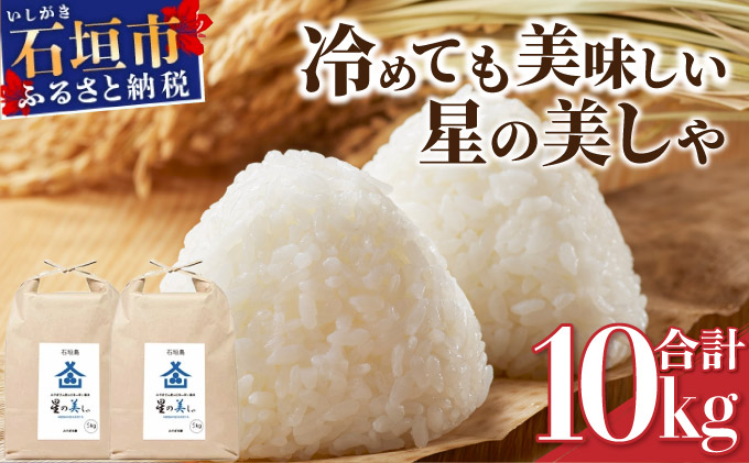 石垣島産 星の美(かい)しゃ 10kg みやぎ米屋【 お米 産地直送 旬 ほしじるし 沖縄県 石垣市 送料無料 】MK-4