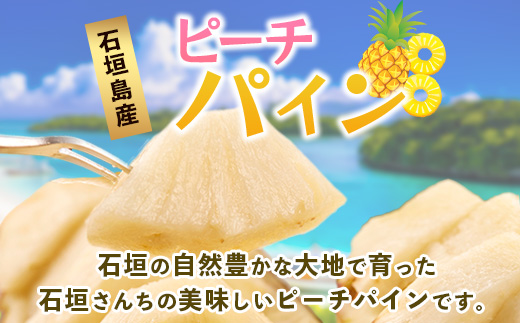 【先行予約】《2025年5月上旬頃より順次発送》石垣島産 ピーチパイン (3玉 約2.5㎏)【 産地直送 沖縄 石垣 パイナップル フルーツ 】 石垣さんちの石垣トロピカルファーム TP-10