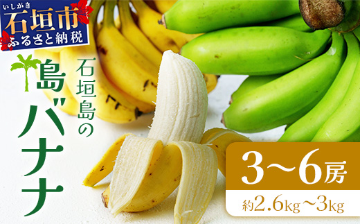 ＜先行予約＞石垣島の島バナナ、3～6房（約2,6～3kg前後入り）《4月中旬～順次発送》爽やか酸味のスッキリ系バナナ、少し冷やしてもイイんです！　SI-34