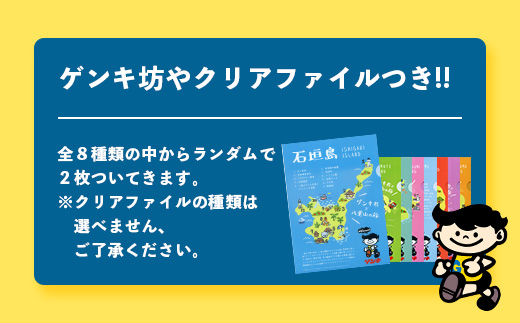 【ふるさと納税限定】八重山ゲンキ乳業 全種バリューセット【八重山ゲンキ乳業】【ゲンキ牛乳】【石垣島のソウルドリンク ゲンキクール】【ゲンキカフェ】【さんぴん茶ミルクティー】GN-4