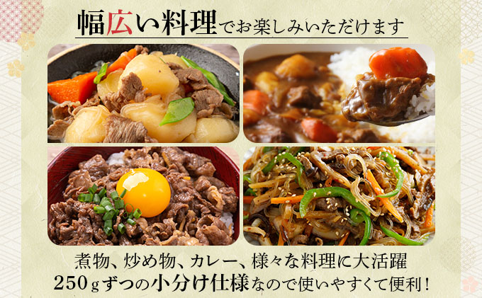 ＜わんの牛＞石垣島産経産黒毛和牛 切り落とし 250g×4袋 合計1kg NA-02