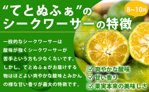 【年3回発送】島の美味しいを詰め込んだよくばり定期便A【 産地直送 沖縄 石垣島 石垣 マンゴー パイナップル シークワーサー フルーツ くだもの 果物 定期便 】TF-12