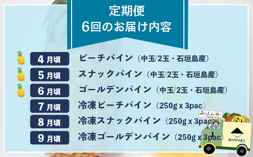 石垣島産パイナップル６回定期便 ｜ 青果３回 冷凍３回 沖縄県 石垣市 果物 果物 南国フルーツ パイン 送料無料 KP-8-1