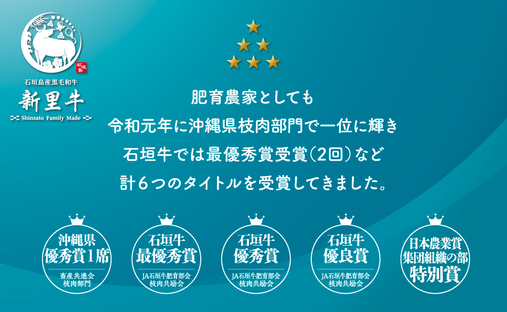 石垣島産 黒毛和牛 新里牛 多用途抜群！煮込み用贅沢角切り（500g×2） 合計1kg以上 カレー シチュー SZ-44