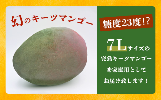 《2025年7月下旬～8月下旬発送》【先行予約】最高糖度23度！？ 完熟の極！7Lサイズ 幻のキーツマンゴー【贈答向け】【 沖縄 石垣島 石垣 八重山 マンゴーキーツマンゴー 期間限定 数量限定 沖縄県 石垣島産 完熟 】TF-4-1