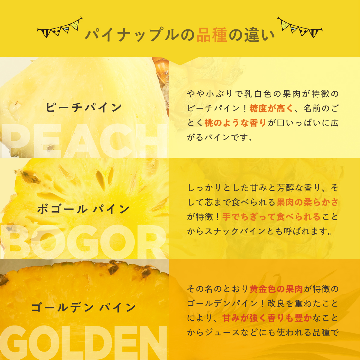 先行予約＜2026年6月より順次発送＞贅沢3種フローズンパイナップル 6パック【 沖縄県 石垣市 果物 パイナップル 冷凍 パイン フローズン 送料無料 】 EF-6