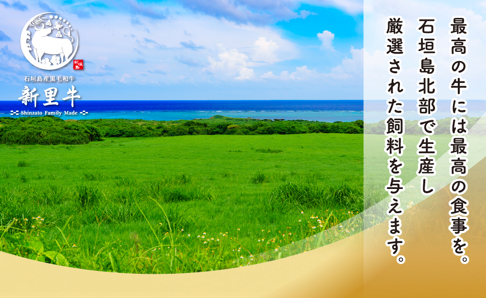 石垣島産 黒毛和牛 新里牛 職人手ごね生ハンバーグ 10個（150g×10）合計1,500g SZ-48