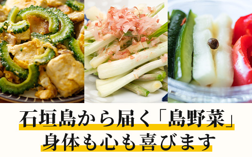 【定期便 12ヶ月】料理人が厳選した島野菜盛り合わせ  (6～10品目×12回)  【野菜詰合せセット  やさい セット 詰め合わせ 冷蔵対応】 TM-8