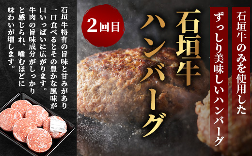 【全3回 定期便B】 石垣牛　切り落としスライス・ハンバーグ・肩ロースすきしゃぶ　計1.67kg（いしなぎ屋）【 特選肉 肉 高級 黒毛和牛 和牛 牛 】AB-30