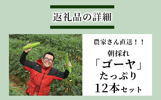 【先行予約】南国石垣島では冬が旬！朝採れ「ゴーヤ」大12本セット！減農薬！最優秀賞受賞の農家から！2024年12月～2025年3月順次発送【 沖縄県石垣市 沖縄 石垣 石垣島 石垣島産 フレッシュ ゴーヤ 減農薬 特別栽培 野菜 採れたて 離島のいいもの 沖縄いいもの石垣島 】OI-10