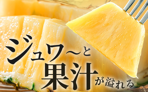 【先行予約】石垣島産 ゴールドバレル１玉 約2.0kg ギフト用梱包《2025年夏季 順次発送》【 ギフト 贈り物 産地直送 沖縄 石垣 フルーツ パイナップル パイン ゴールドバレルパイン 】SI-127