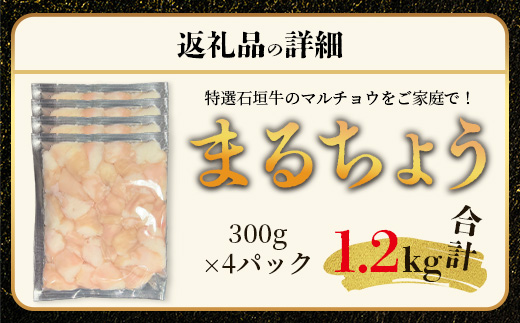 希少な特選石垣牛のホルモンをご家庭で！！マルチョウ300g×4パック【 沖縄 石垣 和牛 石垣牛 希少 特選 肉 ホルモン マルチョウ 冷凍 小分け 】IM-14