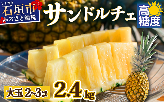 【先行予約】《2025年夏季 順次発送》サンドルチェ大玉2〜3個 計2.4kg　SI-41