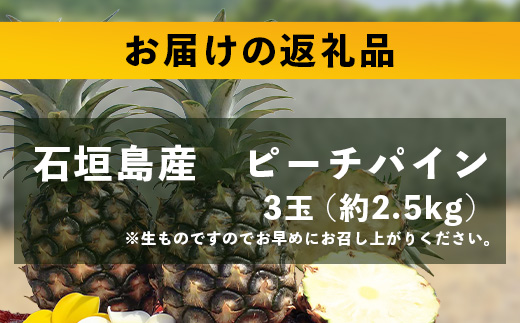 【先行予約】《2025年5月上旬頃より順次発送》石垣島産 ピーチパイン (3玉 約2.5㎏)【 産地直送 沖縄 石垣 パイナップル フルーツ 】 石垣さんちの石垣トロピカルファーム TP-10