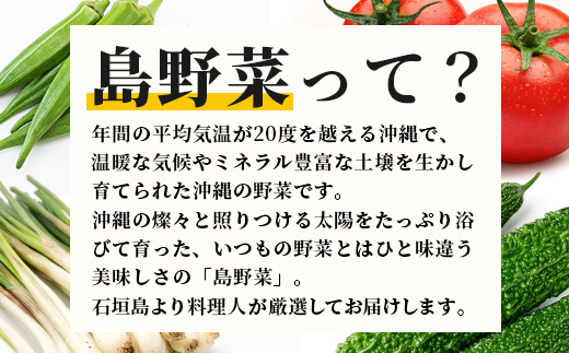 料理人が厳選した島野菜盛り合わせ (6～10品目)  【野菜詰合せセット  やさい セット 詰め合わせ 冷蔵対応】 TM-7