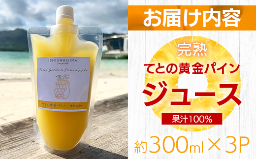 《2025年4月以降順次発送》完熟てとの黄金パインの果汁100％！！濃厚ジュース300ml×3パックをお届け！【 沖縄県 石垣 完熟 パイン パイナップル 黄金 果汁 100％ 】TF-45