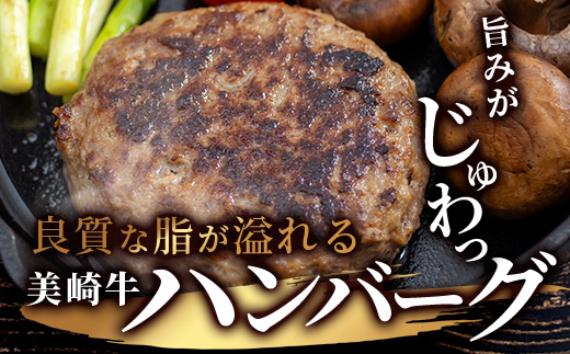 美崎牛ハンバーグ200g×6個  (tokyoFMで紹介された美崎牛です！♪)  O-5