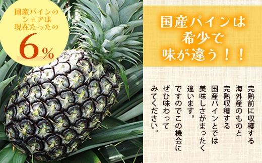 《2025年7月上旬頃より順次発送》【予約受付】石垣島産 ハワイ種パイン 3～4個セット 約4.2㎏【 産地直送 石垣島産 石垣 完熟 パイン パイナップル 】TD-7