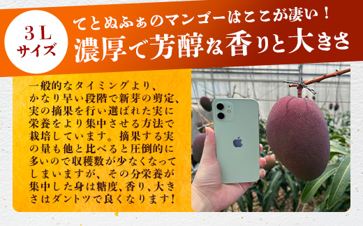 《2025年6月下旬～7月下旬発送》【先行予約】最高糖度20度！？ 完熟！3Lサイズ 石垣島マンゴー 1玉入り約400g【 沖縄 石垣島 石垣 八重山 マンゴー 完熟マンゴー 期間限定 数量限定 】TF-10-1