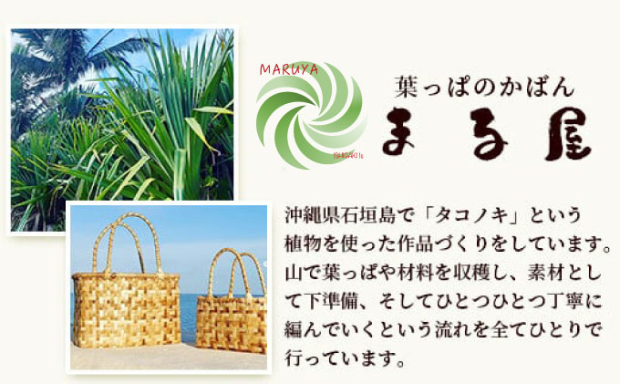 石垣島の植物クラフトワークショップ  HM-5