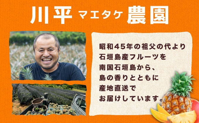 【先行予約】ジュワリーパイン1kg（1～2玉）お勧め♪川平パイン《2026年7月～8月頃順次発送》KN-1
