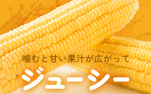 【予約受付】スイートコーン すいーとかよちゃんファームのとうもろこし 10本《2025年1月中旬～5月末順次発送予定》【 沖縄 石垣 野菜 やさい コーン 甘い トウモロコシ コーン 産地直送 】KF-1