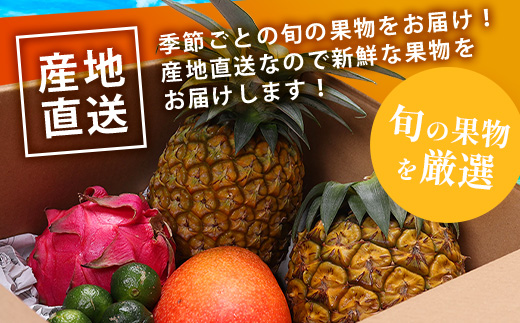 《2025年7月中旬～9月上旬順次発送予定》石垣島の夏「果物」詰め合わせ～夏のタカラモノ果物便～【 産地直送 沖縄 石垣 石垣島 くだもの トロピカルフルーツ 果物 南国 フルーツ 詰め合わせ フルーツ便 】SH-5