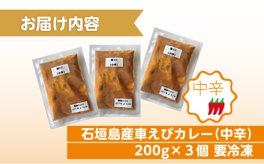 石垣島産車えびカレー（中辛）【冷凍 3食】石垣島のカレー専門店が作るご当地カレー　SK-9