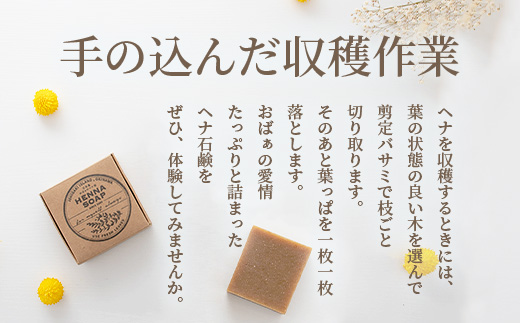 「石垣島産 ヘナ石鹸(大)100g×3個セット」NE-3