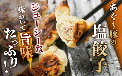 あぐー豚 ぎょうざ 20個【ブランド豚 アグー豚 使用】 ぎょうざ 餃子 焼き餃子 水餃子 焼餃子 惣菜 おかず GS-3