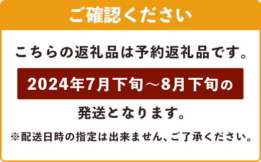 《2025年7月下旬～8月下旬発送》【先行予約】最高糖度23度！？ 完熟の極！7Lサイズ 幻のキーツマンゴー【贈答向け】【 沖縄 石垣島 石垣 八重山 マンゴーキーツマンゴー 期間限定 数量限定 沖縄県 石垣島産 完熟 】TF-4-1