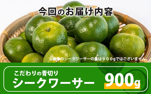 《2025年7月以降順次発送》【先行予約】こだわりの青切りシークワーサー 900g 約30〜40個 【 産地直送 沖縄 石垣島 石垣 八重山 シークワーサー 柑橘 フルーツ くだもの 果物 】TF-7-1