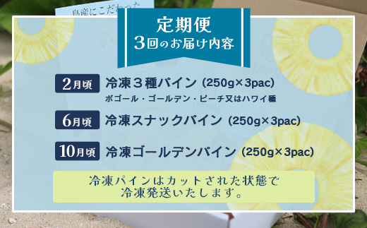 石垣島冷凍パイナップル3回定期便  EF-11