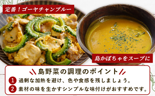 石垣島産 野菜BOX【６回定期便】（６~８種類）季節ごとに野菜パワーをあなたに！！CK-3 【野菜セット おまかせセット 旬 季節のお野菜 旬の野菜セット 詰め合わせ 定期便 ６回 定番野菜 島野菜 沖縄県 石垣市 石垣島 石垣 】