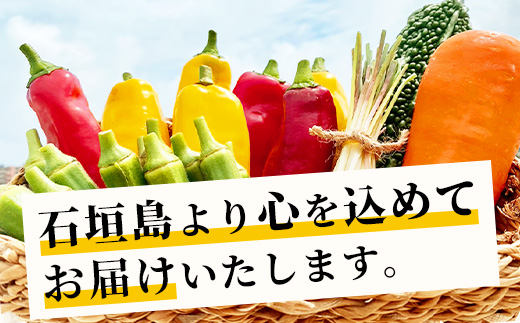 料理人が厳選した島野菜盛り合わせ (6～10品目)  【野菜詰合せセット  やさい セット 詰め合わせ 冷蔵対応】 TM-7