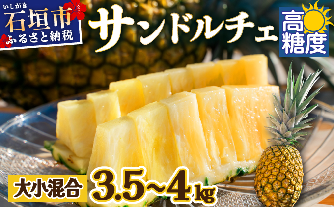 【先行予約】《2025年夏季 順次発送》【訳あり】石垣島産 サンドルチェパイン 約3.5〜4kg【甘さ最高パインの「訳あり」の大小混合セット】SI-28