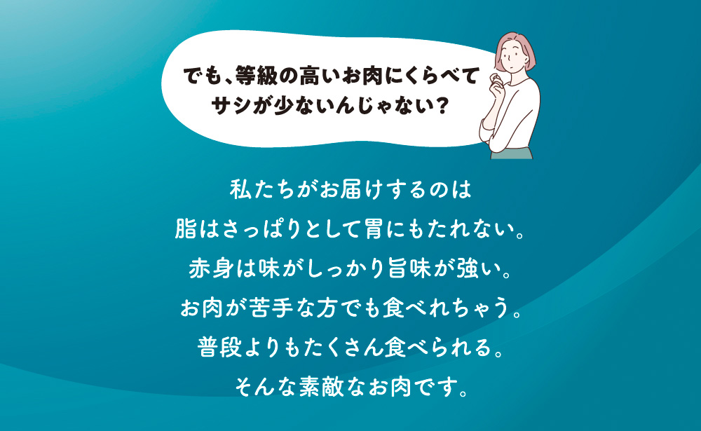 石垣島産 黒毛和牛 新里牛 多用途抜群！パラパラミンチ 定期便全12回（毎月1kg×12回）合計12kg SZ-47